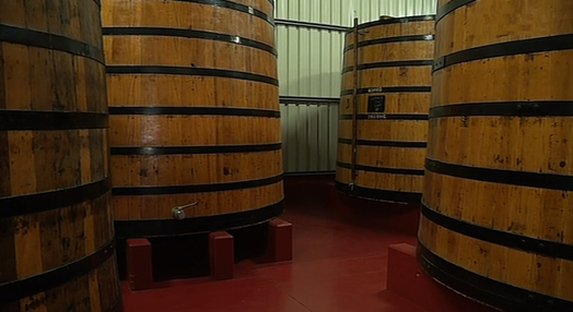 Produção de vinho da Madeira