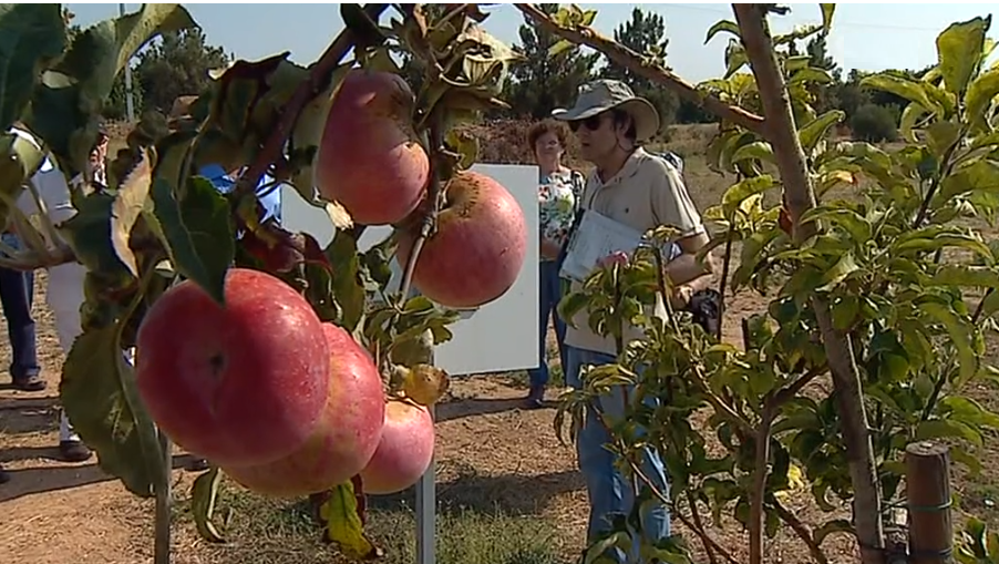 Centro de Experimentação Agrária de Tavira
