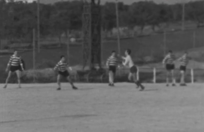 Andebol: Sporting vs Almada