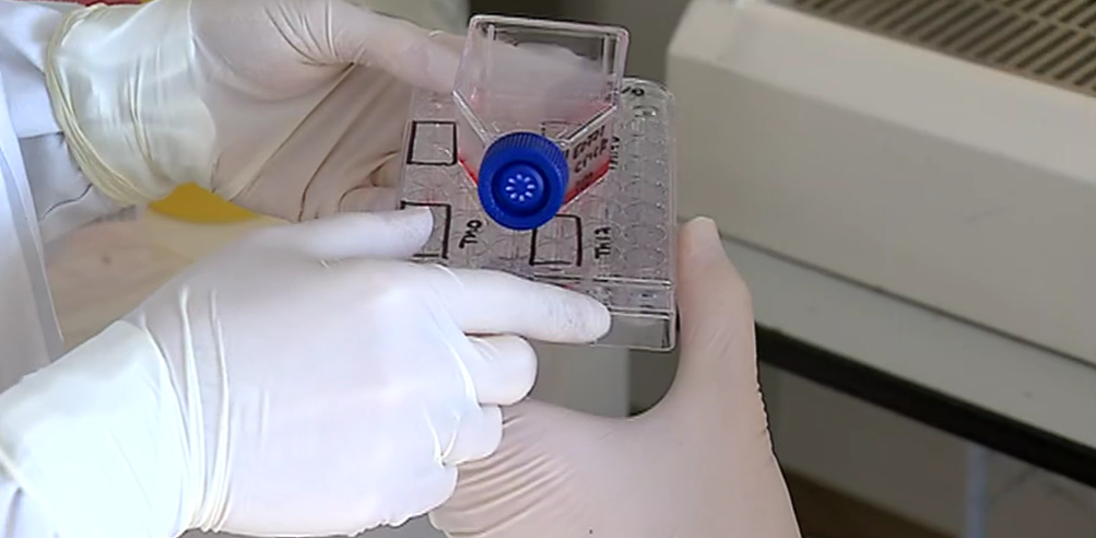 Tratamento do Cancro