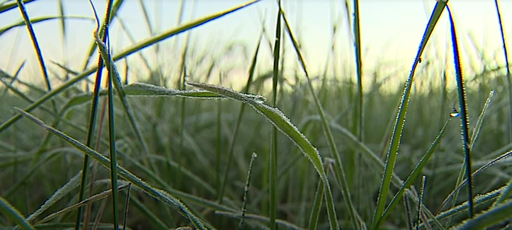 CML ativa plano para o frio