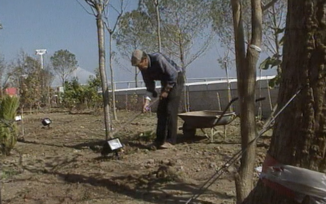 Jardineiro da Expo 98