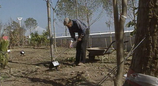 Jardineiro da Expo 98