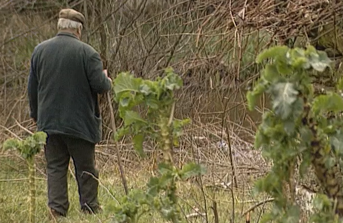 População transmontana desconhece a Expo 98