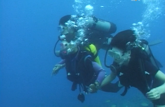 Mergulhador comunica com peixes em Bora Bora
