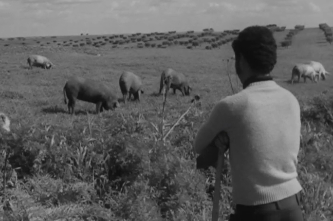 Entrevista ao autor da Seara de Vento