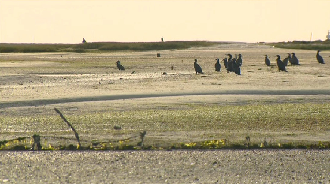 Parque Natural da Ria Formosa