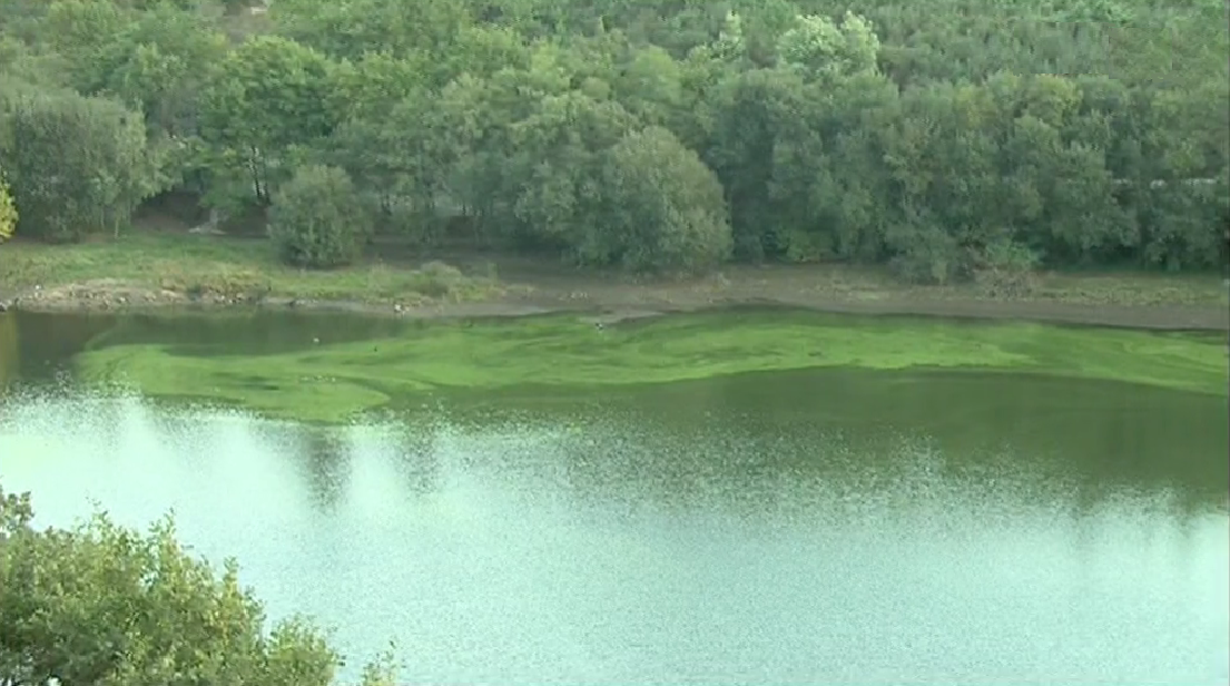 Empreitadas Ambientais