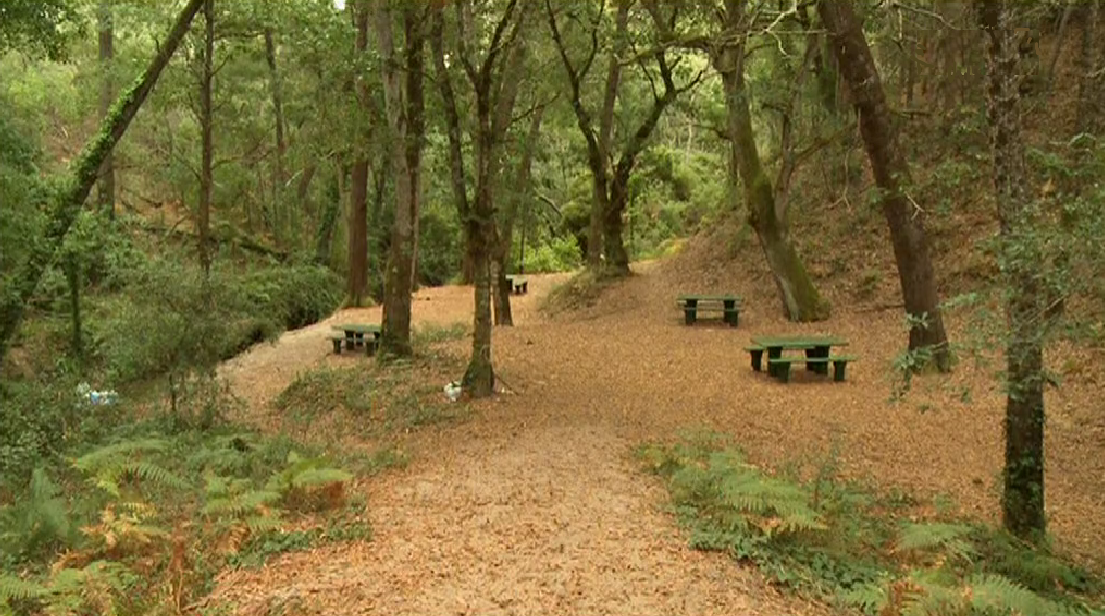 Nove Meses após a Tempestade…