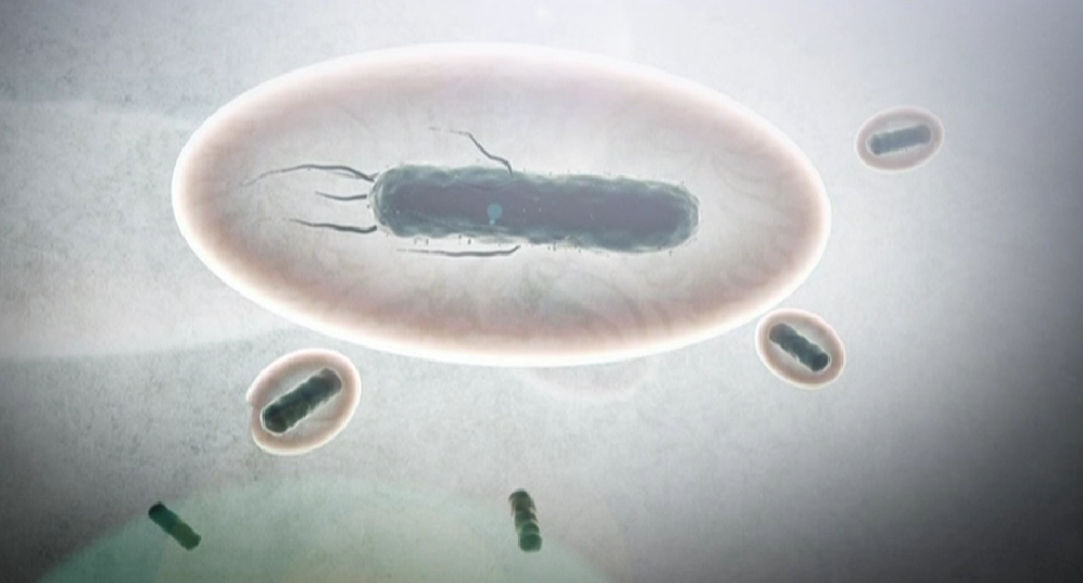 Sabe o que anda a comer?