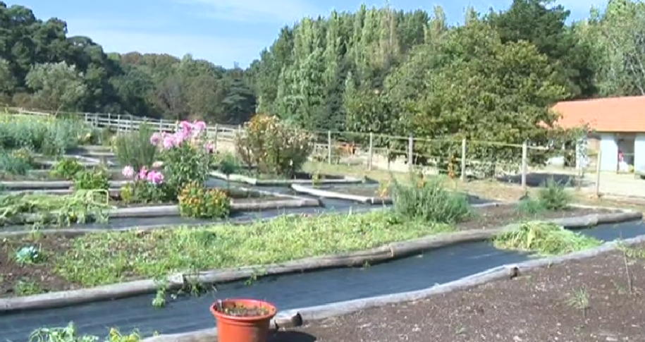 Condomínio da Terra