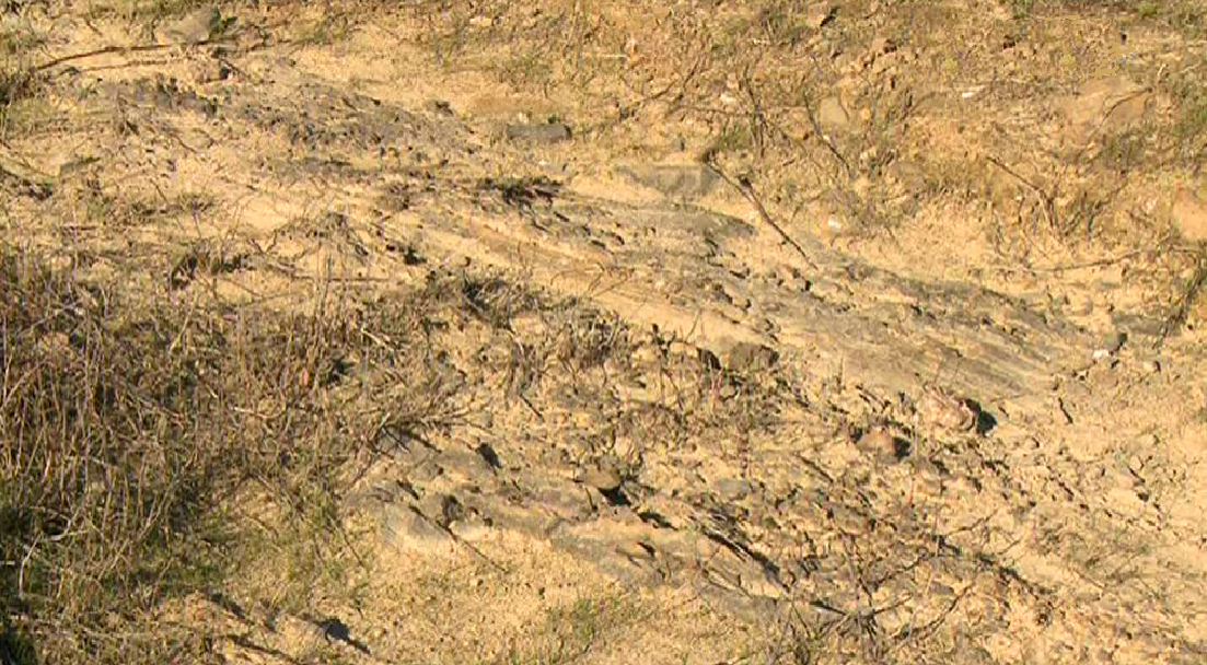 Estará o Sul do País Condenado à Desertificação?