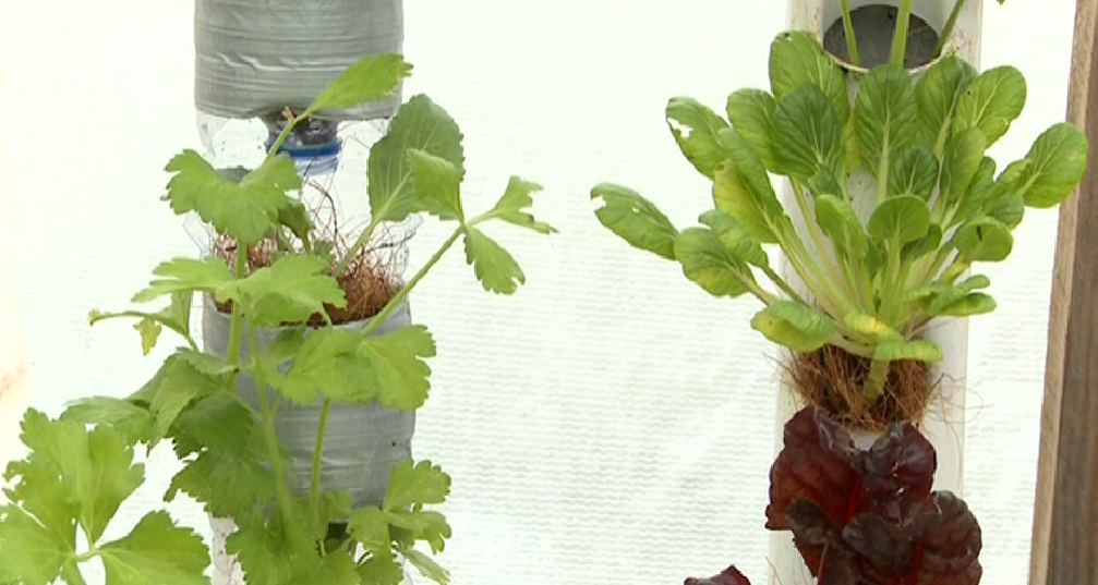 (Re)criar com Materiais Recicláveis