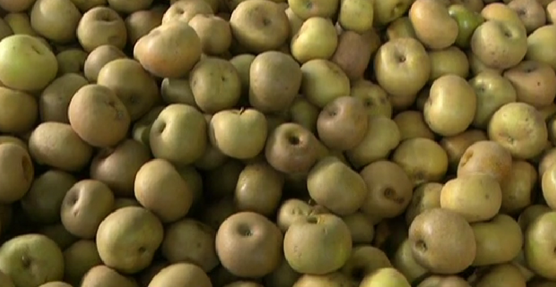 Desperdício Alimentar