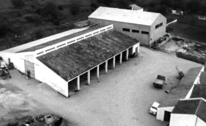 O Cooperativismo Agrícola em Loulé e Tavira