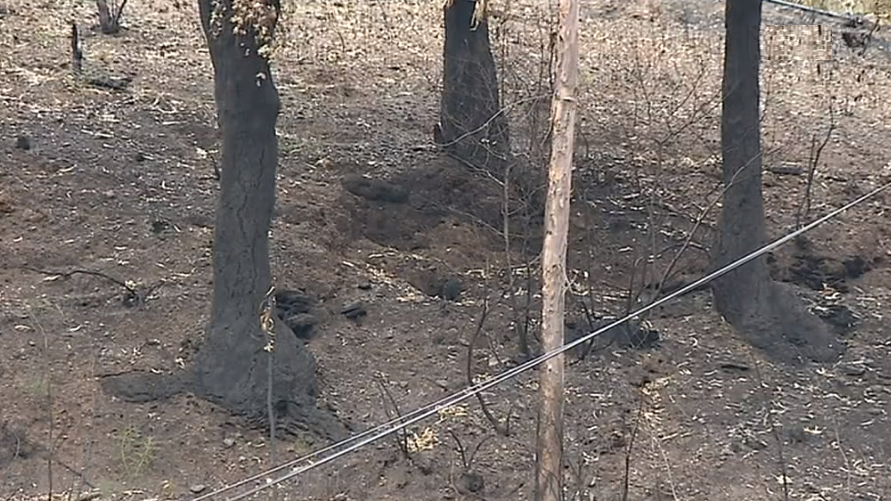 Erosão provocada pelos incêndios