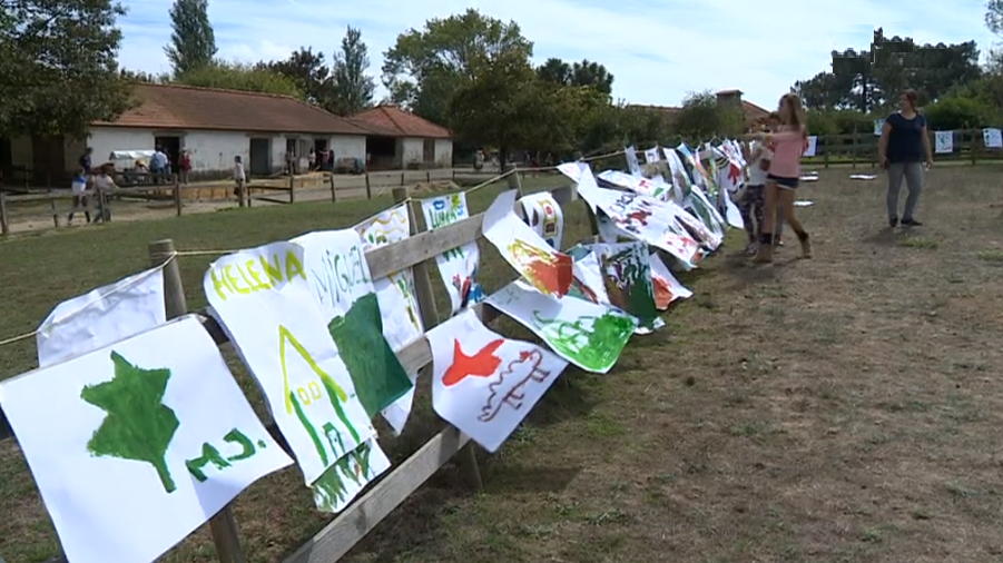 “Festa de Outono” em Serralves