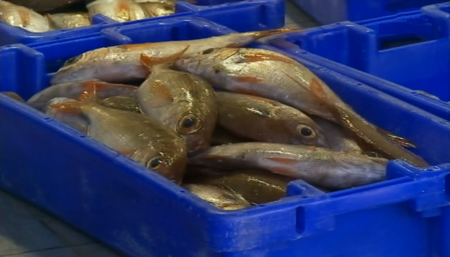 Pesca de goraz nos Açores