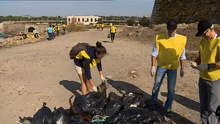 Limpeza da praia do Castelo do Queijo II