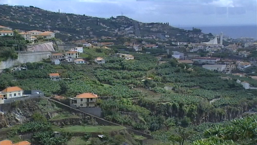 Seminário “Landraces in Greece” no Funchal
