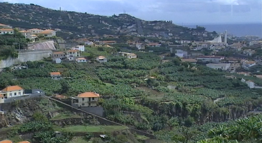 Seminário “Landraces in Greece” no Funchal