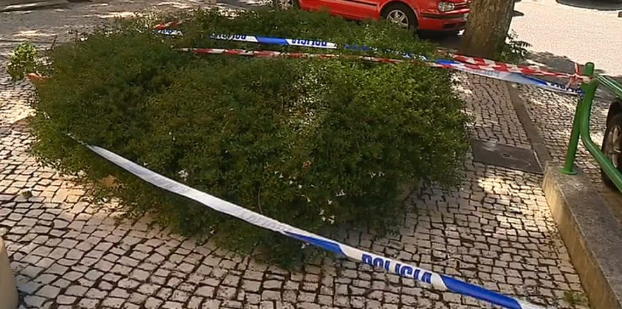 Morte de criança em Viseu sob investigação