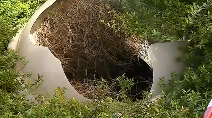 Morte de criança em Viseu