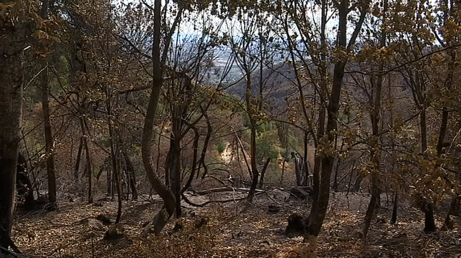 Guardiões da Serra da Estrela