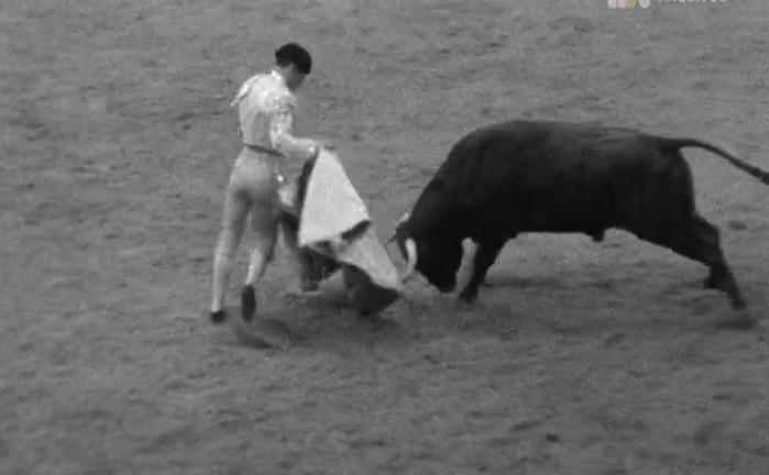 Tourada na Praça de Touros do Campo Pequeno