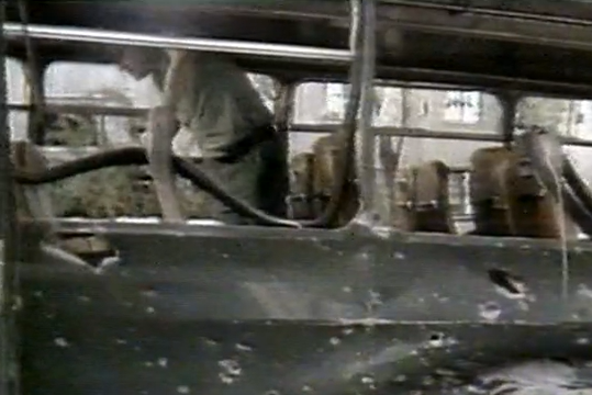 Crónica de Vasco Lourinho