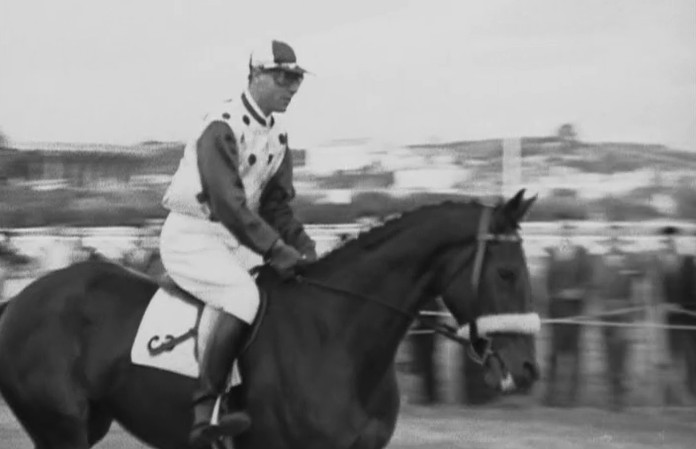 Hipismo: Corridas “Reunião de Outono”