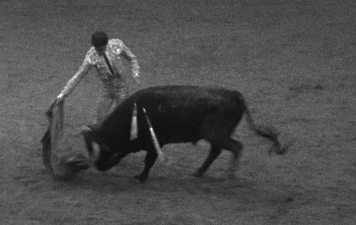 Tourada noturna em Vila Franca de Xira