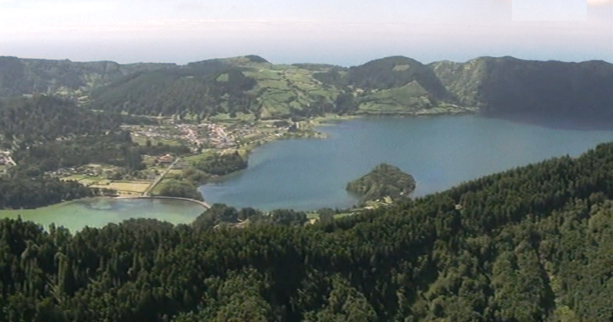 Açores enviam árvores para ajudar à reflorestação da Madeira