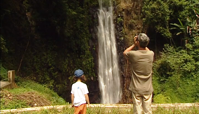 Leve, Leve… Como as Tartarugas