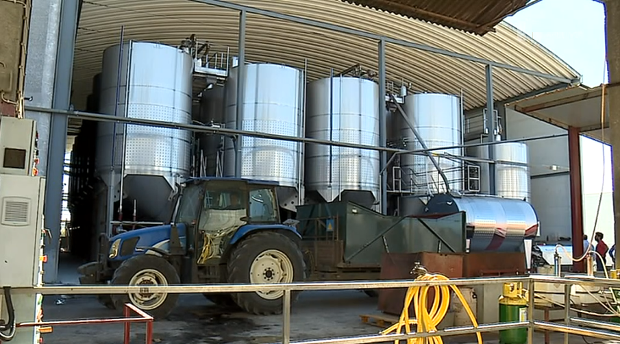 Modernização na Adega Cooperativa de Pinhel