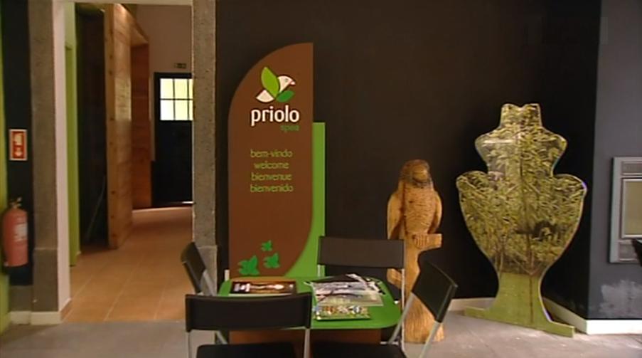 Visitas ao Centro Ambiental do Priôlo