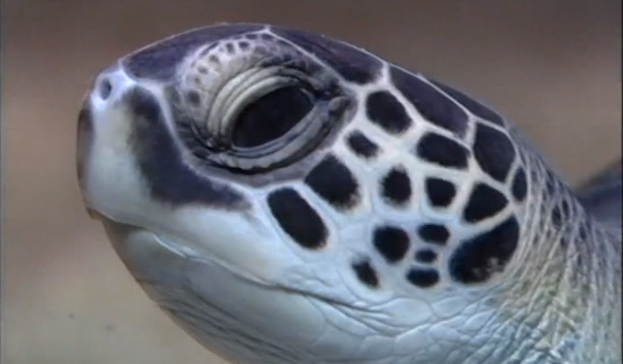 Acontecimentos Limitada