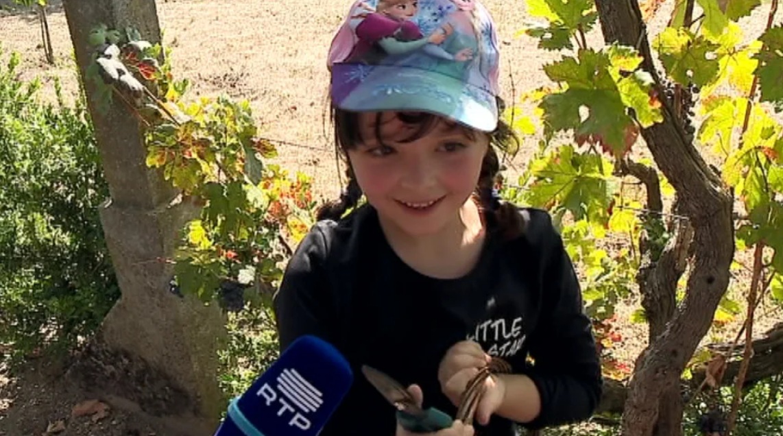 Vindima para Crianças