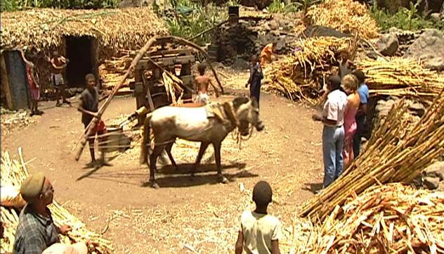 O Regresso do Filho Pródigo