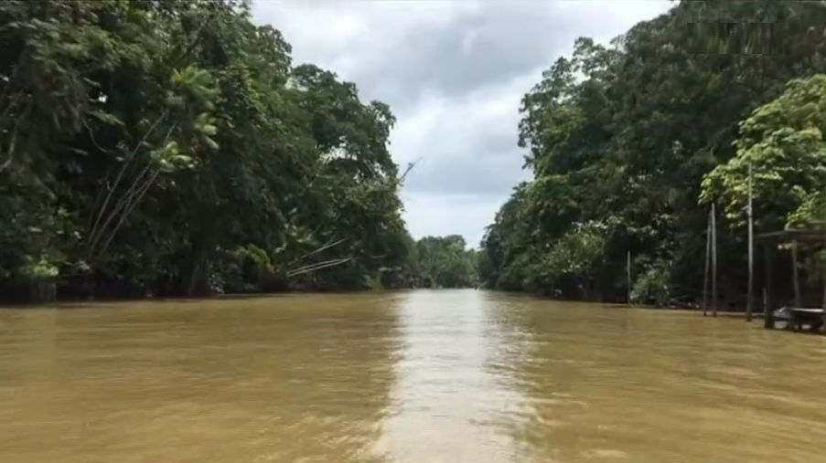 Floresta Amazónica ameaçada