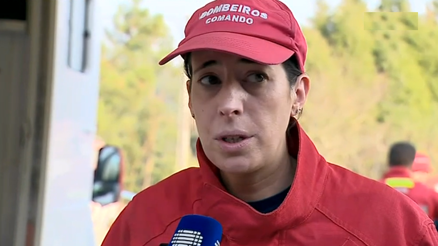 Incêndio florestal em Anadia