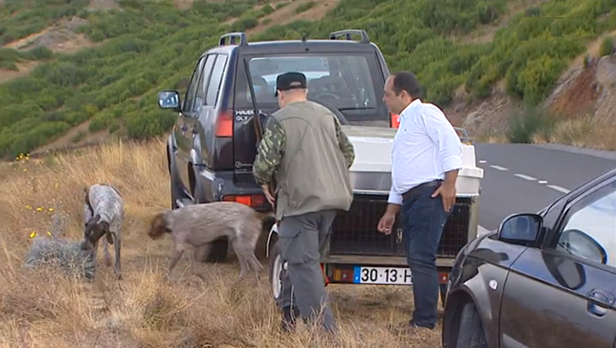 Época de caça na Ilha da Madeira