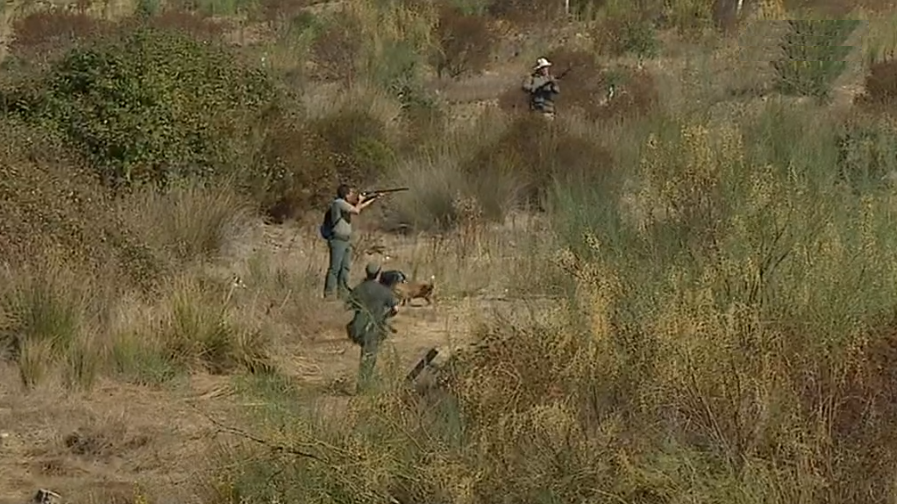 Abertura da época de caça