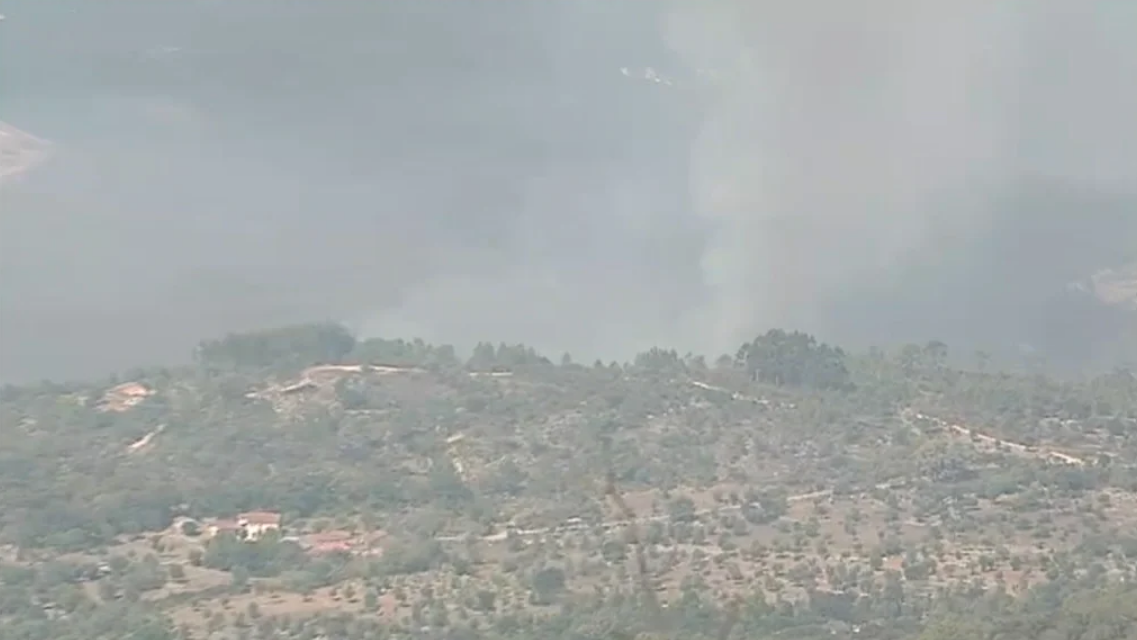 Incêndio florestal em Alvaiázere