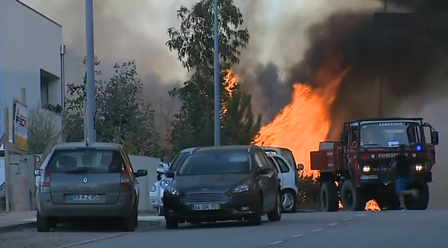 Incêndio florestal em Valongo