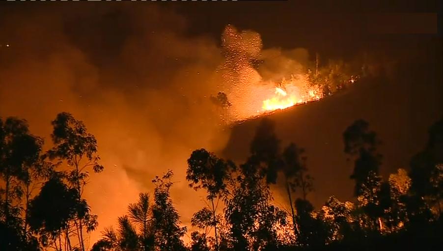Incêndio florestal em Mortágua
