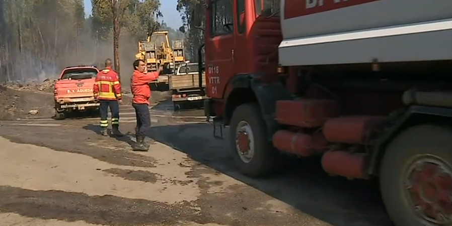 Incêndio florestal em Anadia