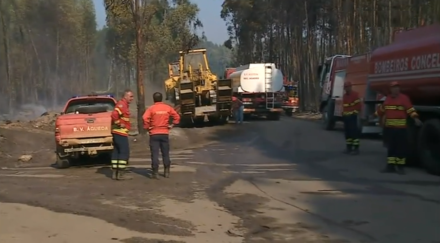 Incêndio florestal em Anadia