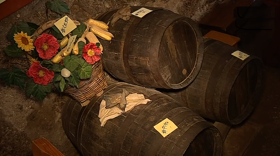 “Guimarães Noc Noc” II