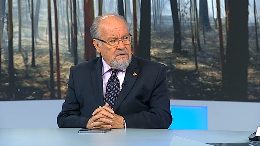 Marta Soares critica redução de meios de combate a incêndios